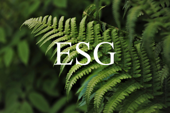 ESG là gì? Vai trò của ESG trong chiến lược phát triển bền vững của doanh nghiệp 4 ESG.1